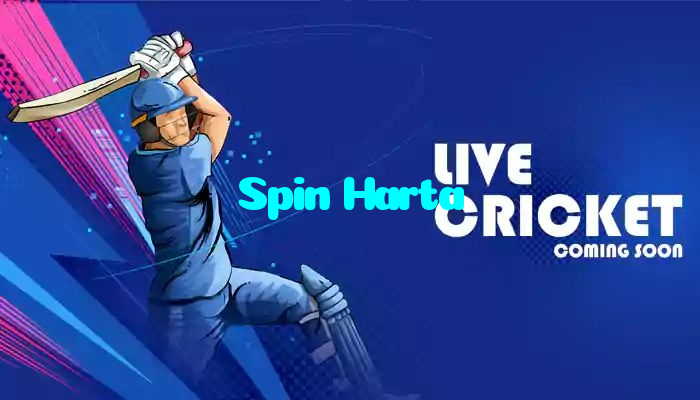 available types of Spin Harta bet including pre-match live express and system bets